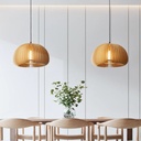 B2029 Pendant Lamp