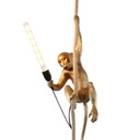 XL8051 - Climbing Monkey Pendant Lamp