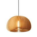 B2029 - Halo Pendant Lamp